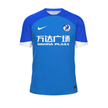 Dalian Professional FC 24 May 7, 2024 SoFIFA