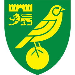 Norwich City Signings - FC 25 - Feb 19, 2025 | SoFIFA