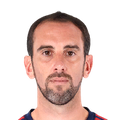 Face of D. Godín