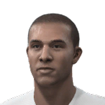 Gregory van der Wiel - FIFA 14