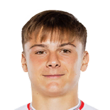 Emre Belözoğlu visual data 6